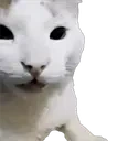 cehehe emote for Discord