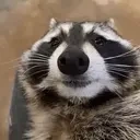 cedric emote for Discord