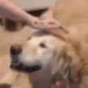 cerberoPat emote for Discord