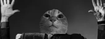 CineWuh emote for Discord