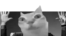 cinerma emote for Discord