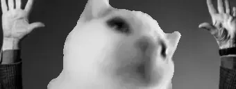 Cinejah emote for Discord