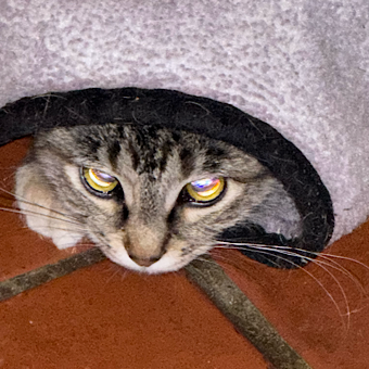 nickCharging707 emote for Discord