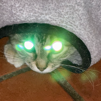 nickLasers707 emote for Discord