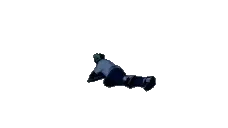 Crawl emote for Discord