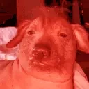 CreatureButRed emote for Discord