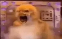 CRASHINGTFOUT emote for Discord