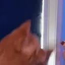 crunch emote for Discord