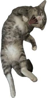 LPJoey emote for Discord