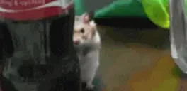 creepyhamster emote for Discord