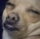 cringebutagree emote for Discord