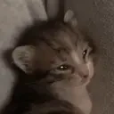 Crying emote for Discord