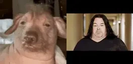 creatureBigEd emote for Discord