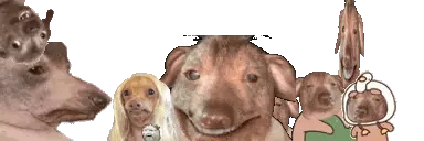 creatures emote for Discord