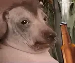 creatureDrinkingBeer emote for Discord