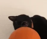 crunchallow emote for Discord