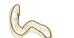 CremE emote for Discord