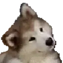 CuteDog emote for Discord