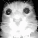 cuh emote for Discord