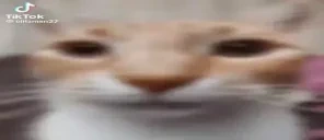 csgo emote for Discord