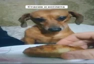 CTAC emote for Discord