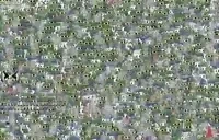 csinhchstream emote for Discord