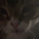 cuh emote for Discord