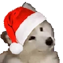 CuteDog emote for Discord