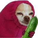 CUCUMBER emote for Discord
