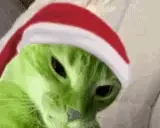 cuh emote for Discord