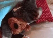 cuddles emote for Discord