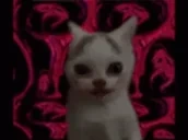 cursed emote for Discord