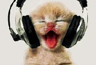 CuteCatJam emote for Discord