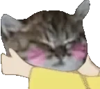 CutestBoy animated emote for Discord, Twitch and Slack