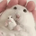 cuddles emote for Discord