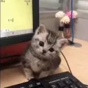 cuteStare emote for Discord