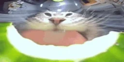 CUMBZER emote for Discord