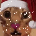 cuh emote for Discord