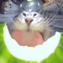 CUCUMBZER emote for Discord