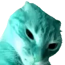 cuh emote for Discord