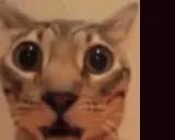 cuh emote for Discord