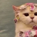 CutebutReallySad emote for Discord