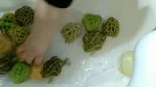 CuteFrogs emote for Discord