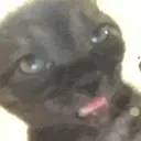 cuh emote for Discord