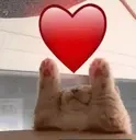 cutecatlove emote for Discord