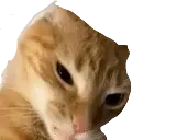 cuh emote for Discord