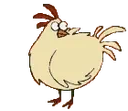 CurseChicken emote for Discord