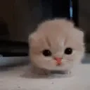 Curious emote for Discord