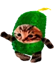 cucumberCatRun emote for Discord
