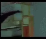 cucuKARATE emote for Discord